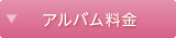 アルバム料金