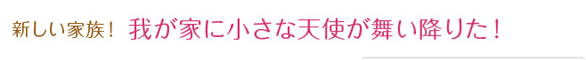 新しい家族！我が家に小さな天使が舞い降りた