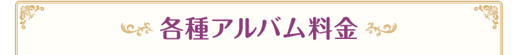 各種アルバム料金