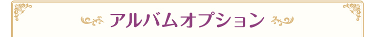 アルバムオプション