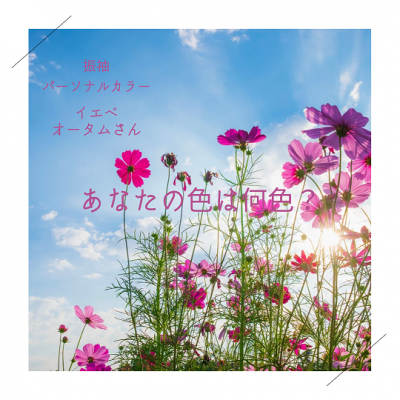 【みよし市】振袖をパーソナルカラーで選んでみませんか？イエベ秋☆【成人式・前撮り】